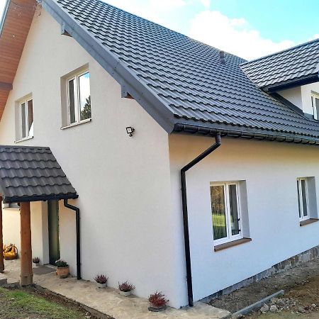 Sowinka Villa Lutowiska Dış mekan fotoğraf