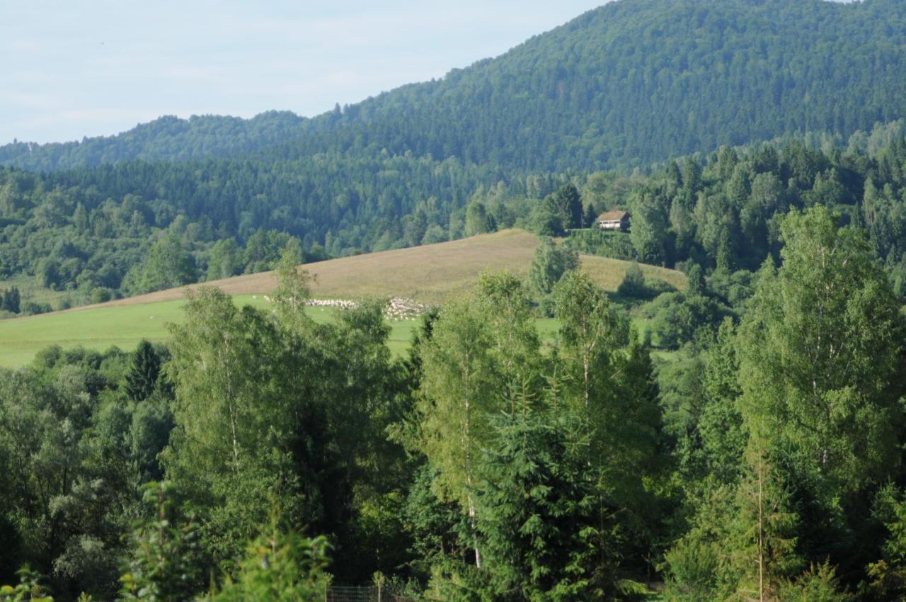 Sowinka Villa Lutowiska Dış mekan fotoğraf