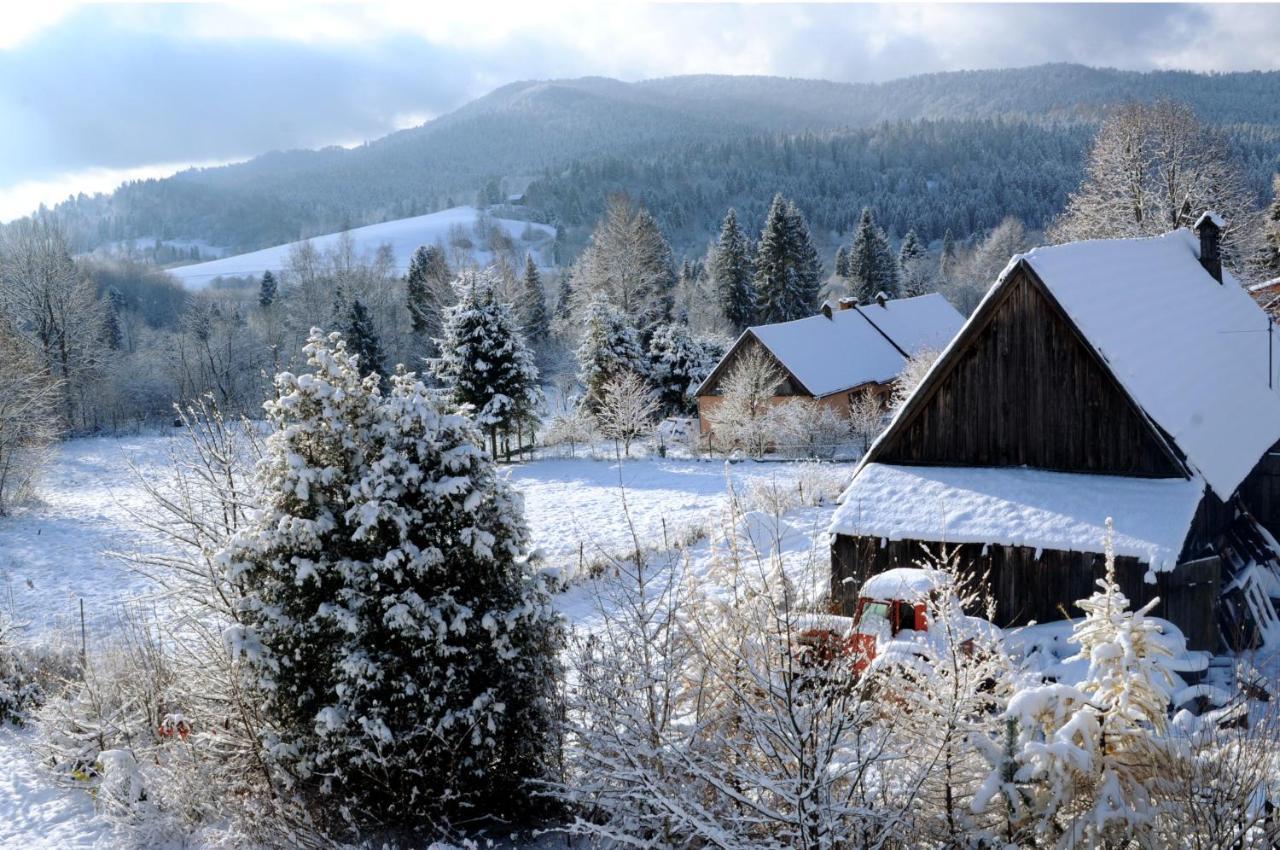 Sowinka Villa Lutowiska Dış mekan fotoğraf