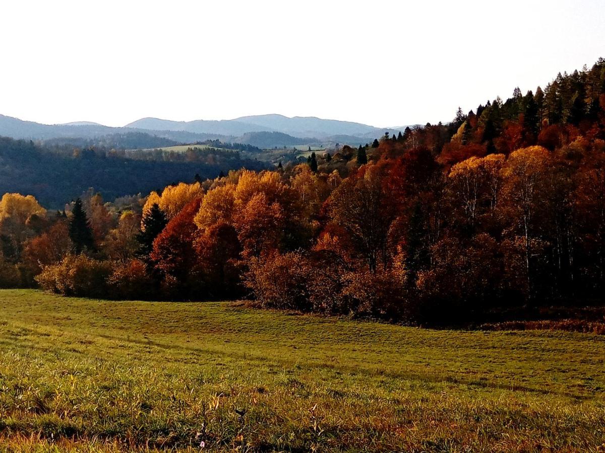 Sowinka Villa Lutowiska Dış mekan fotoğraf