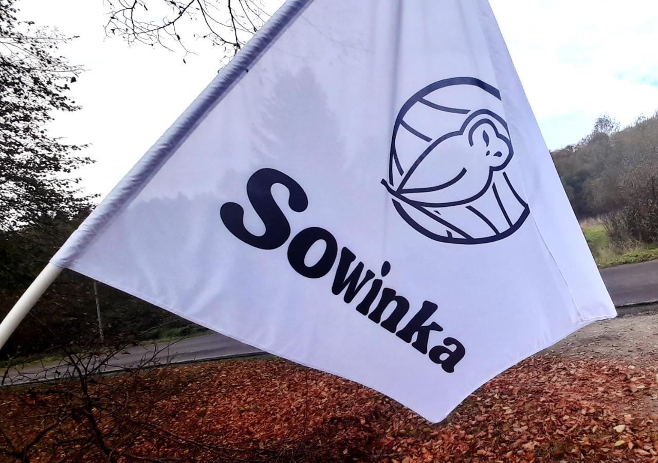 Sowinka Villa Lutowiska Dış mekan fotoğraf
