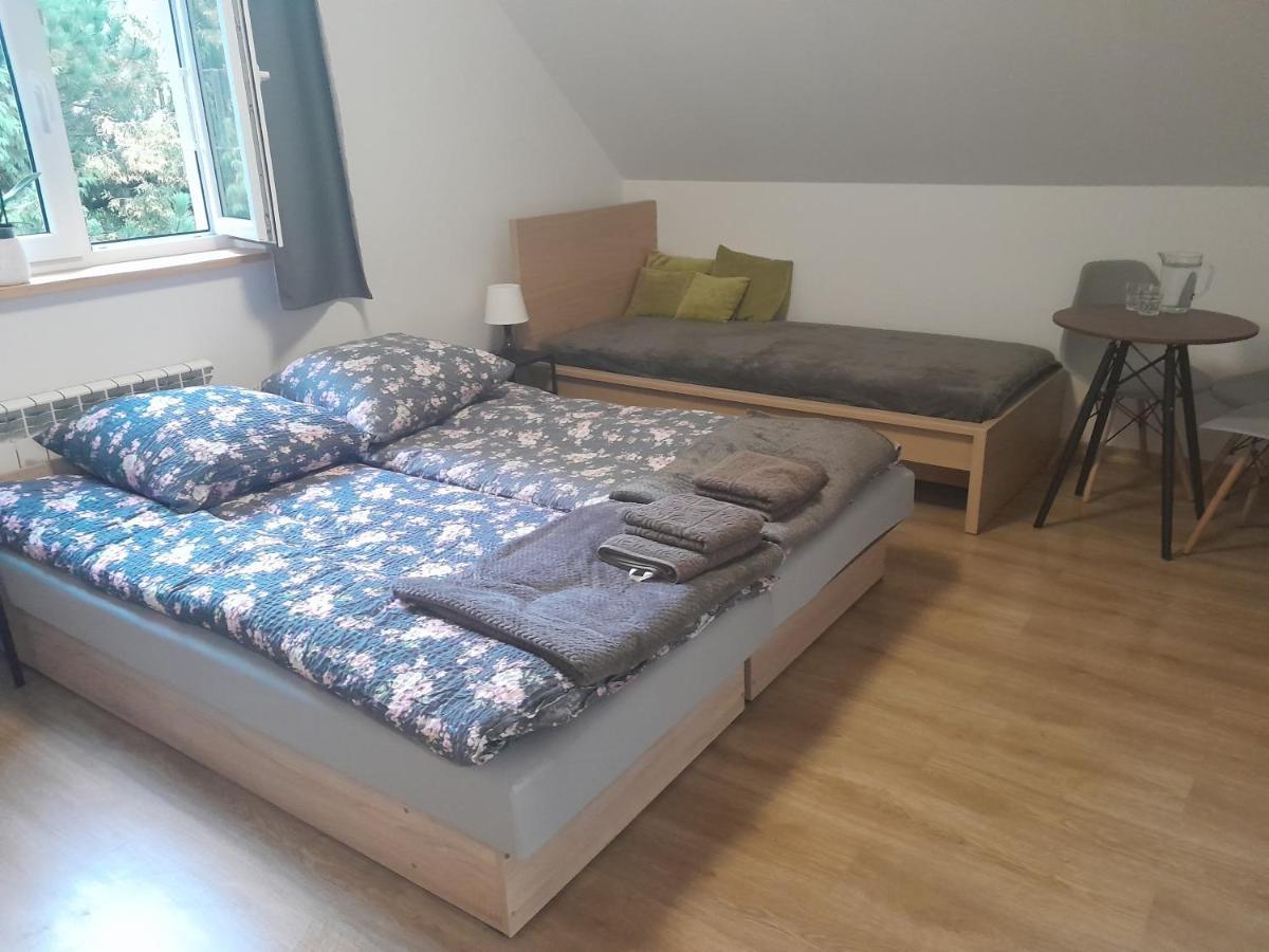 Sowinka Villa Lutowiska Dış mekan fotoğraf